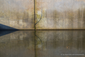 Wim Dunning