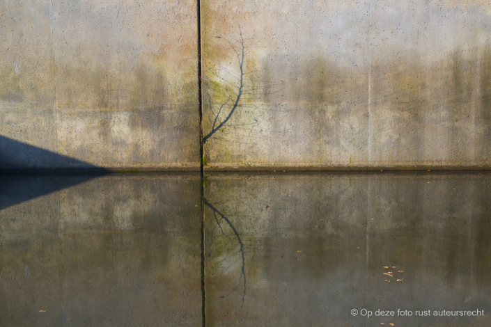 Wim Dunning
