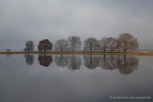 Wim Dunning