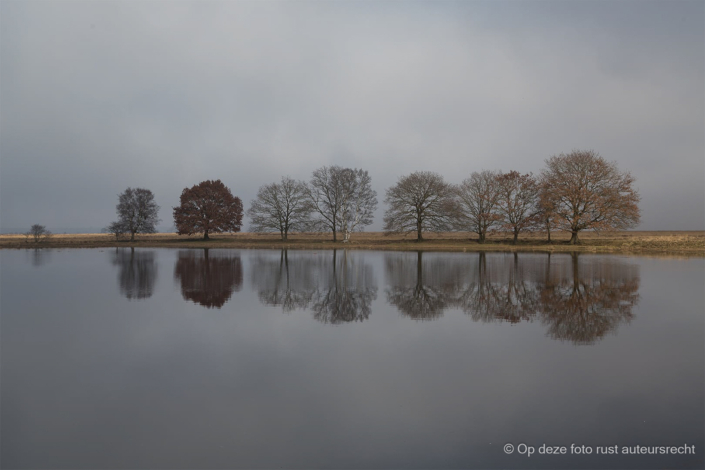 Wim Dunning